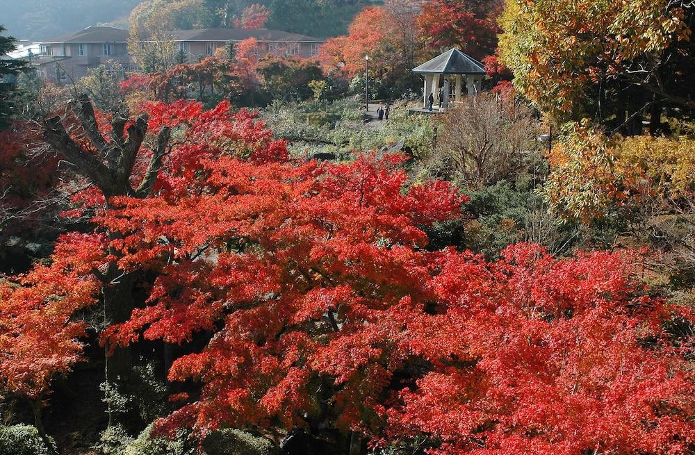 Suikoukan Hakone Eksteriør bilde