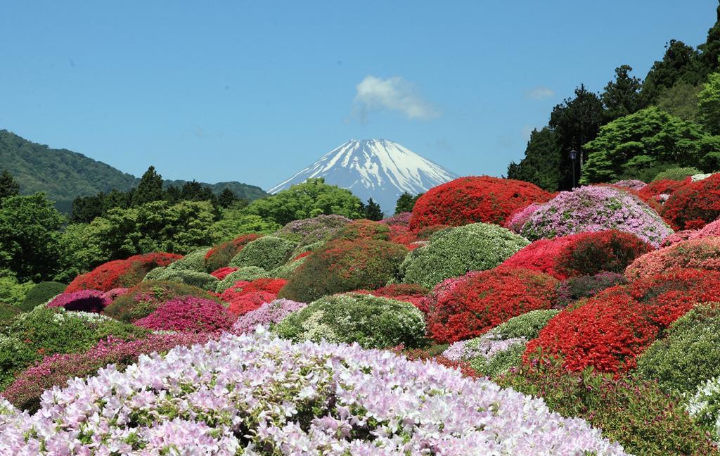 Suikoukan Hakone Eksteriør bilde